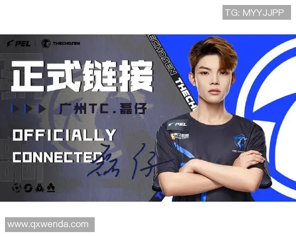 陈磊专访：深入探讨和平精英的发展历程与未来展望